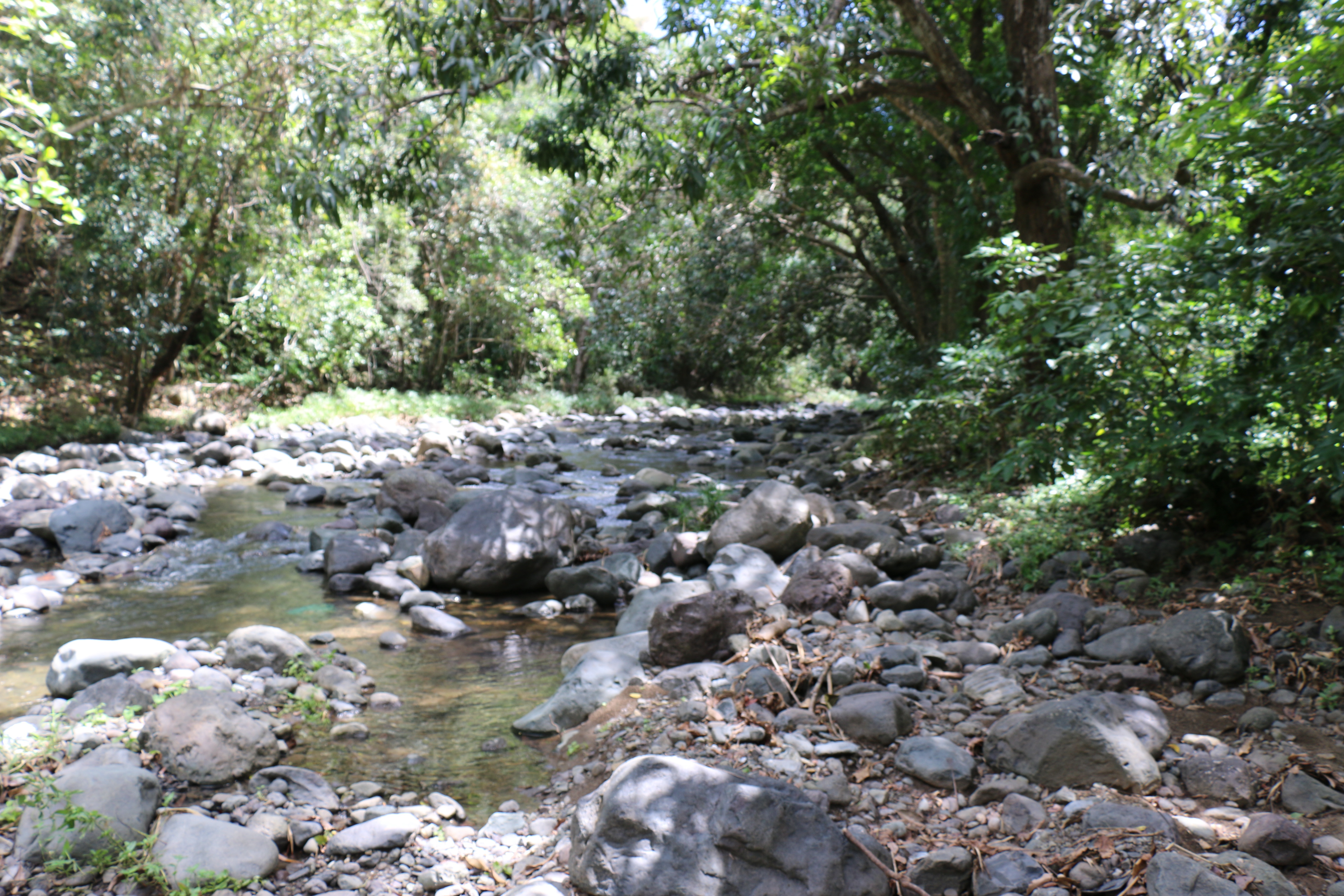 River and mountains of Maragüez, Puerto Rico